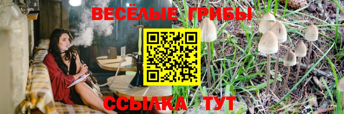 Галлюциногенные грибы мухоморы  Псилоцибиновые грибы Psilocybine cubensis  Вход с VPN  Муром 
